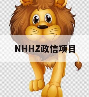NHHZ政信项目