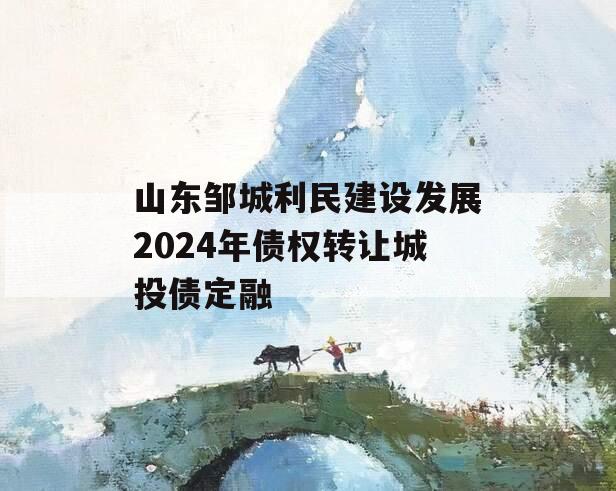 山东邹城利民建设发展2024年债权转让城投债定融