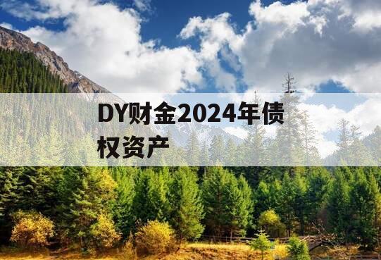 DY财金2024年债权资产