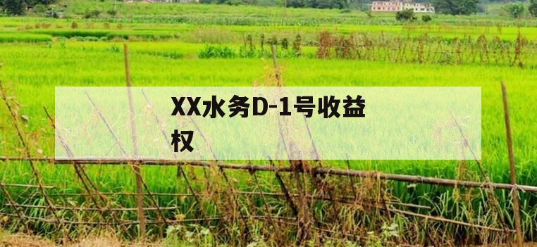 XX水务D-1号收益权