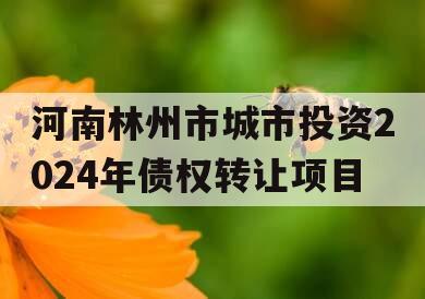 河南林州市城市投资2024年债权转让项目