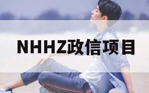 NHHZ政信项目