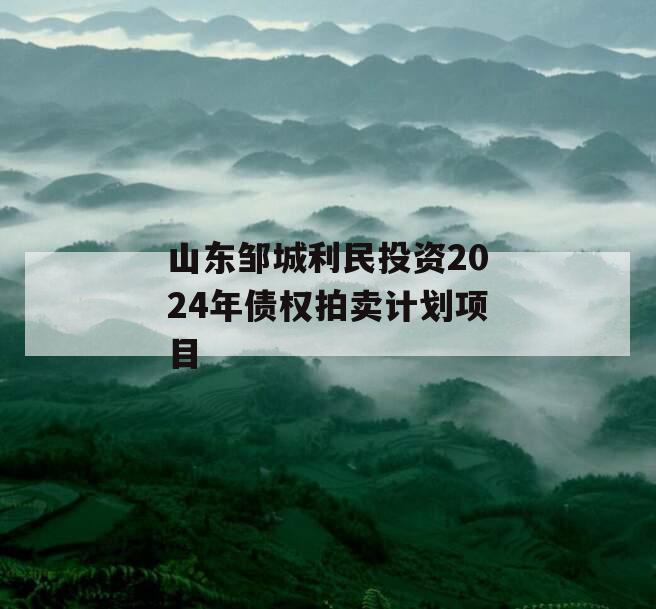 山东邹城利民投资2024年债权拍卖计划项目