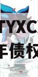 河南TYXCXFZ2024年债权资产