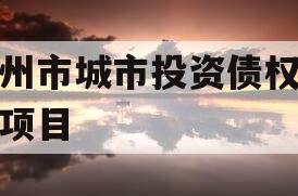 林州市城市投资债权转让项目
