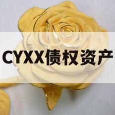 CYXX债权资产