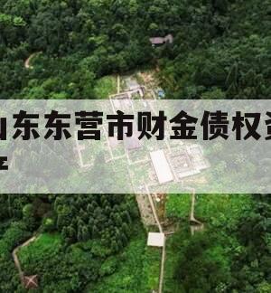 山东东营市财金债权资产