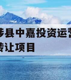 武陟县中嘉投资运营债权转让项目