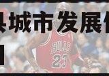 沂南县城市发展债权转让项目