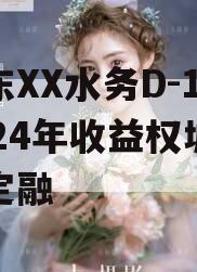 山东XX水务D-1号2024年收益权城投债定融