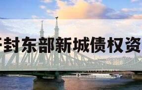 开封东部新城债权资产