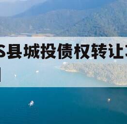 YS县城投债权转让项目