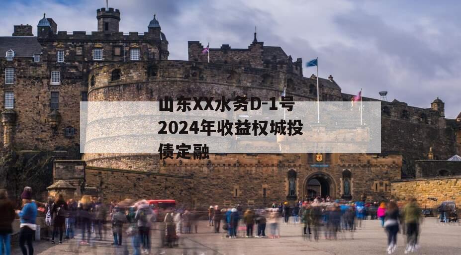山东XX水务D-1号2024年收益权城投债定融