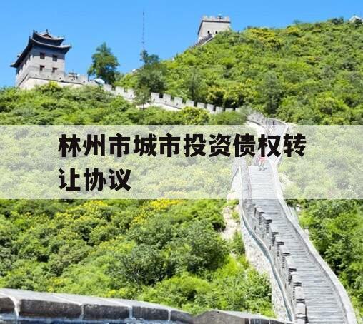 林州市城市投资债权转让协议