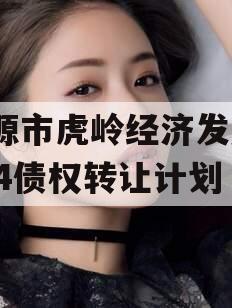 济源市虎岭经济发展2024债权转让计划