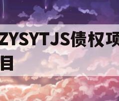 ZYSYTJS债权项目