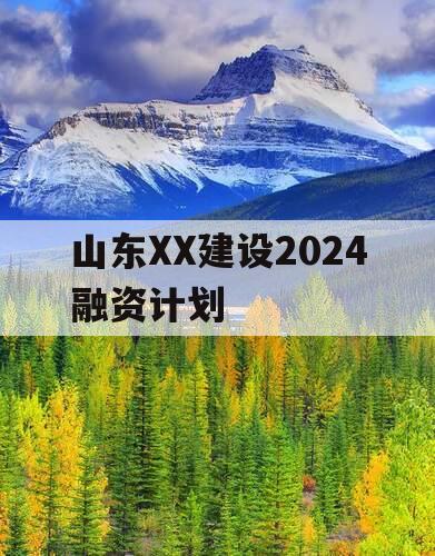 山东XX建设2024融资计划