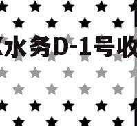 XX水务D-1号收益权