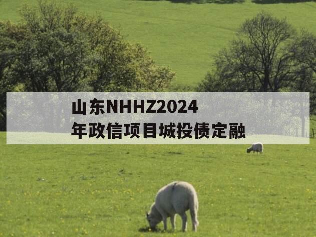 山东NHHZ2024年政信项目城投债定融
