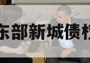 开封东部新城债权资产