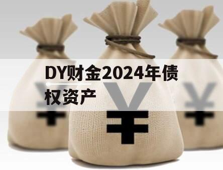 DY财金2024年债权资产