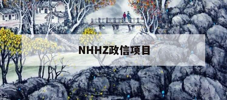NHHZ政信项目