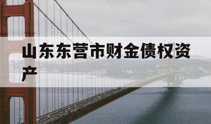 山东东营市财金债权资产