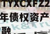 河南TYXCXFZ2024年债权资产城投债定融