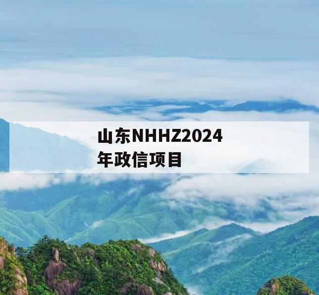 山东NHHZ2024年政信项目