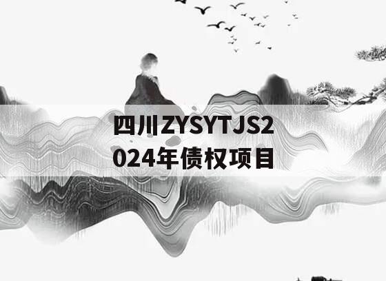 四川ZYSYTJS2024年债权项目