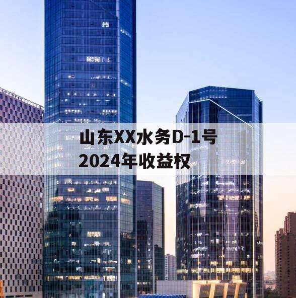 山东XX水务D-1号2024年收益权