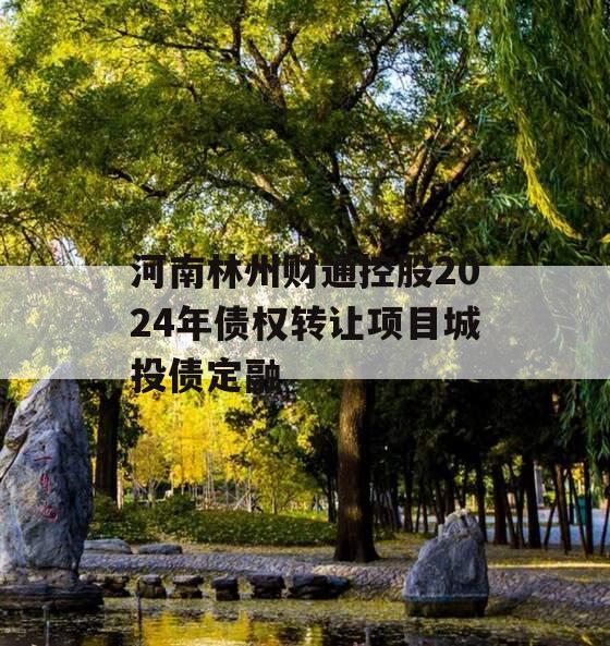 河南林州财通控股2024年债权转让项目城投债定融