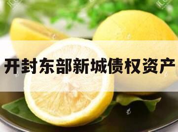 开封东部新城债权资产