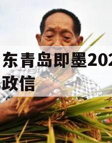 山东青岛即墨2024年政信