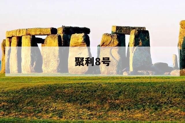 聚利8号