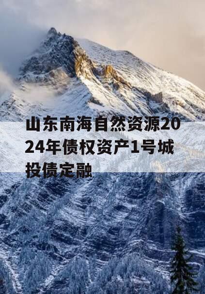 山东南海自然资源2024年债权资产1号城投债定融