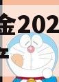DY财金2024年债权资产