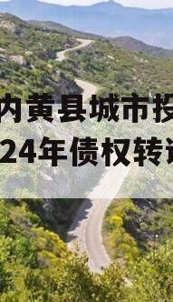 河南内黄县城市投资开发2024年债权转让项目