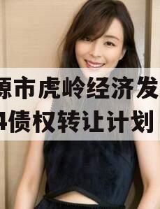 济源市虎岭经济发展2024债权转让计划