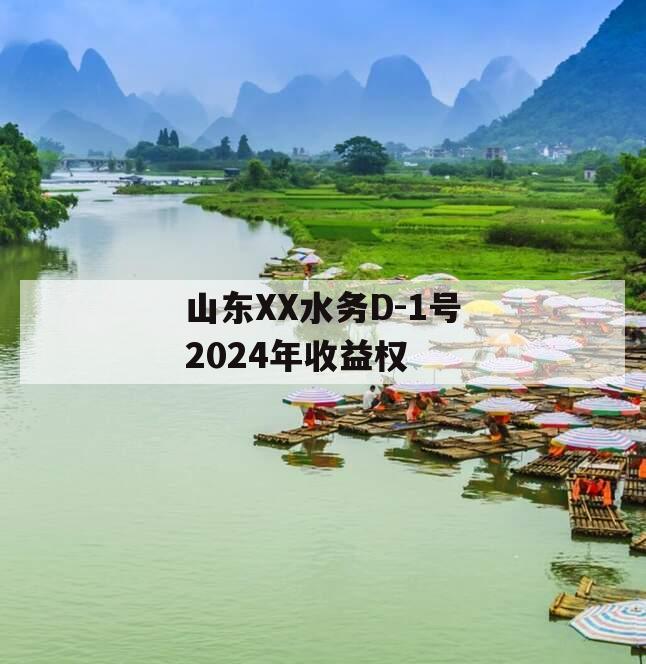 山东XX水务D-1号2024年收益权