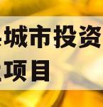内黄县城市投资开发债权转让项目