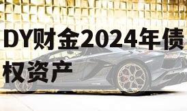 DY财金2024年债权资产