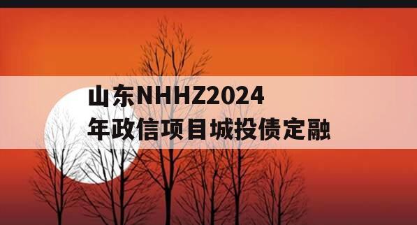 山东NHHZ2024年政信项目城投债定融