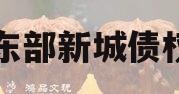 开封东部新城债权资产