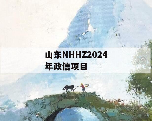 山东NHHZ2024年政信项目