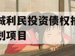 邹城利民投资债权拍卖计划项目