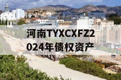 河南TYXCXFZ2024年债权资产