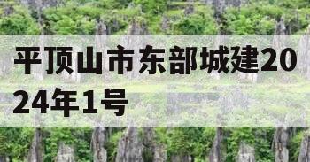 平顶山市东部城建2024年1号