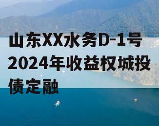 山东XX水务D-1号2024年收益权城投债定融