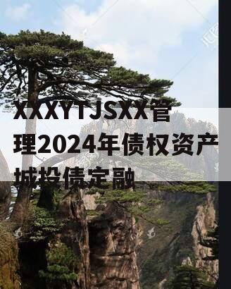 XXXYTJSXX管理2024年债权资产城投债定融